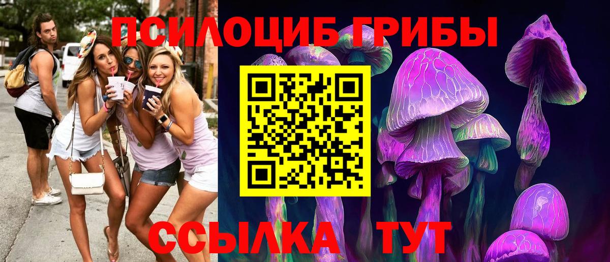 Новочебоксарск  Галлюциногенные грибы мицелий  купить закладку  Галлюциногенные грибы Psilocybe  Вход с VPN 